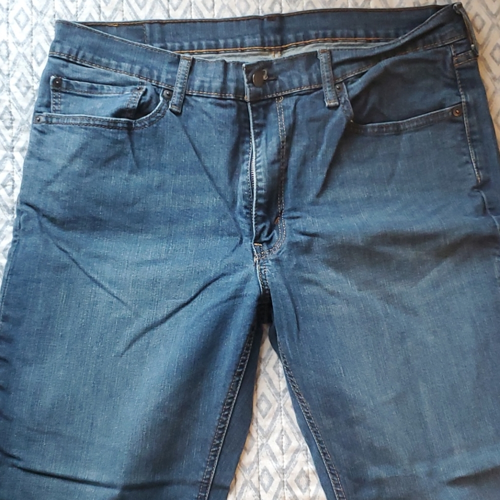 Levi Jean 541 36x30